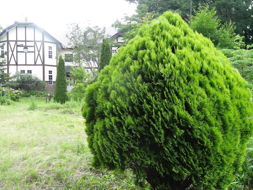 那须岳 阿芙塔尼宾馆酒店 外观 照片