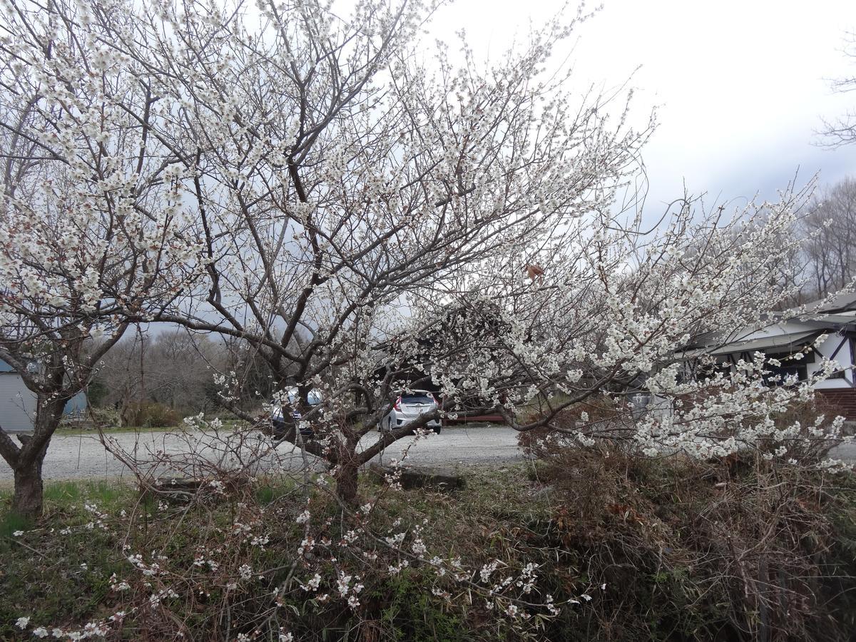 那须岳 阿芙塔尼宾馆酒店 外观 照片