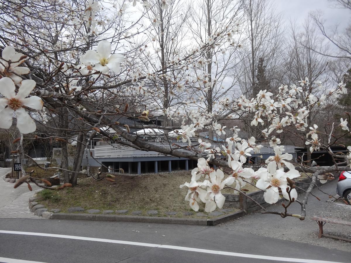 那须岳 阿芙塔尼宾馆酒店 外观 照片